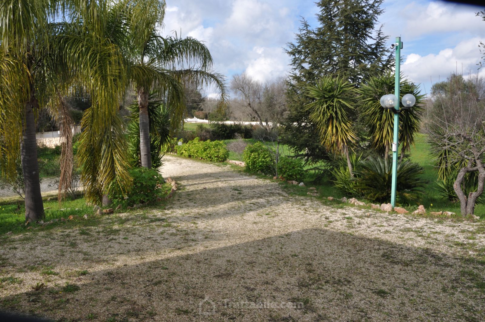 Anteprima 12