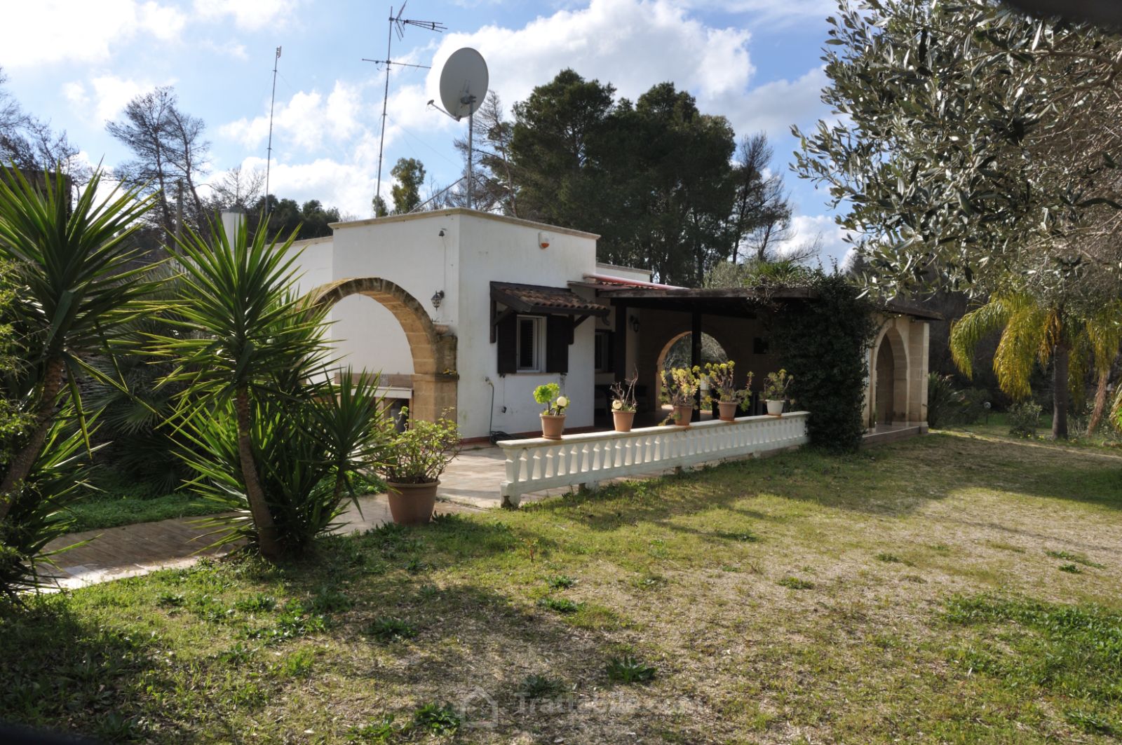 Anteprima 14