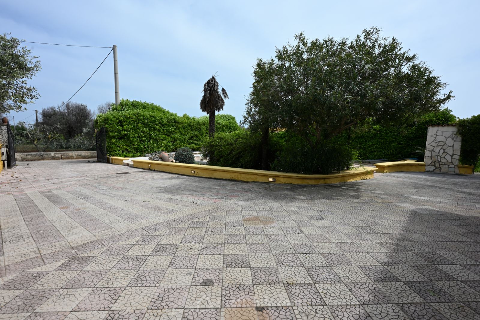 Anteprima 15