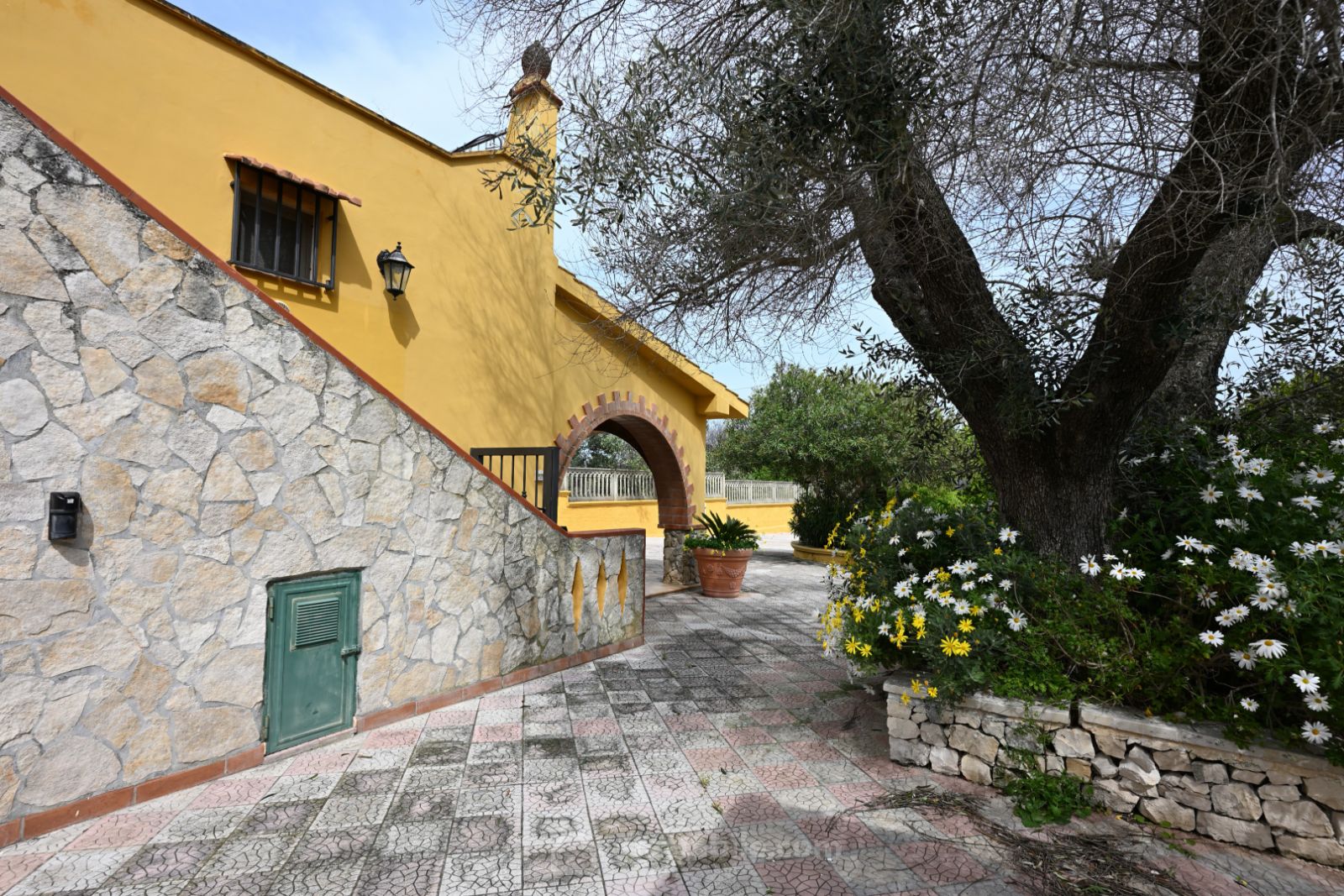 Anteprima 17