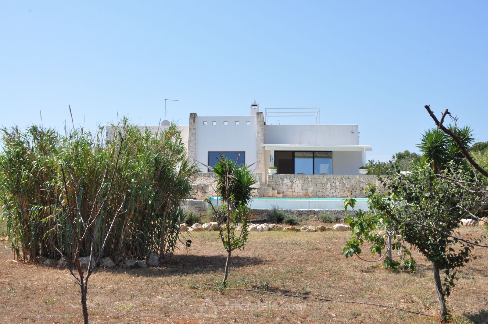 Anteprima 4