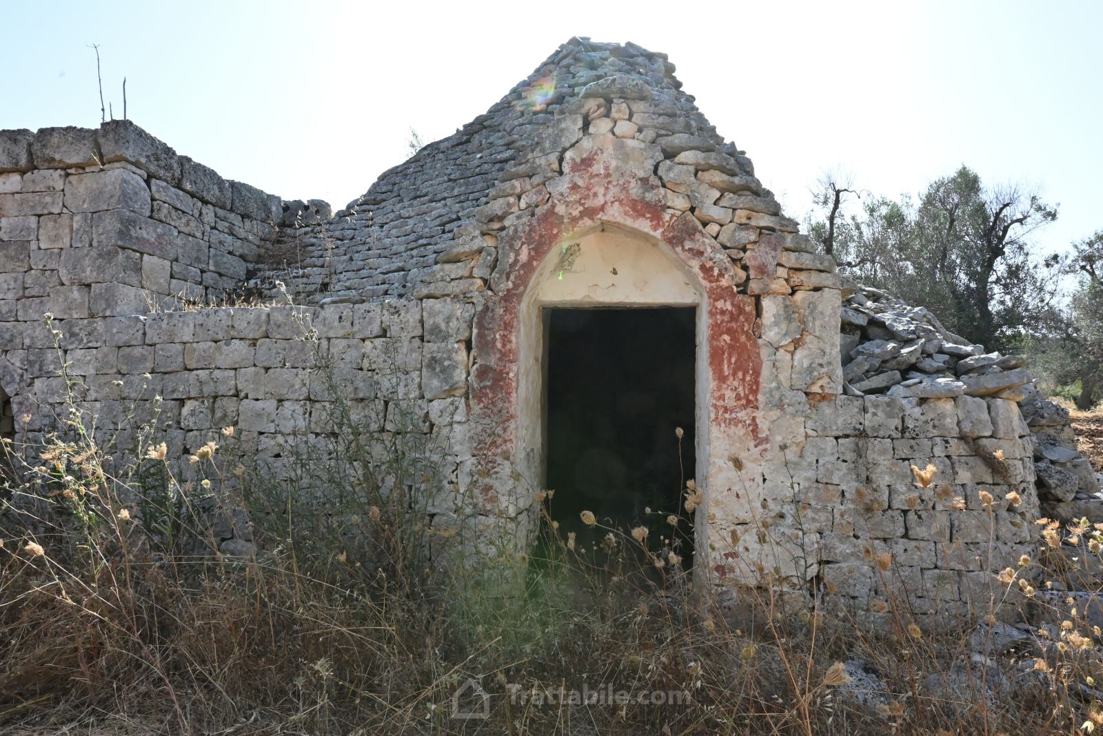 Anteprima 2