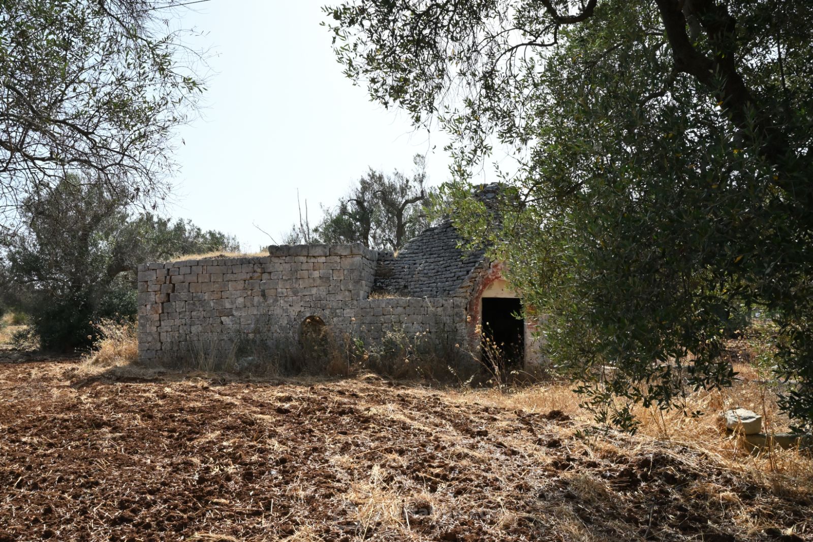 Anteprima 4
