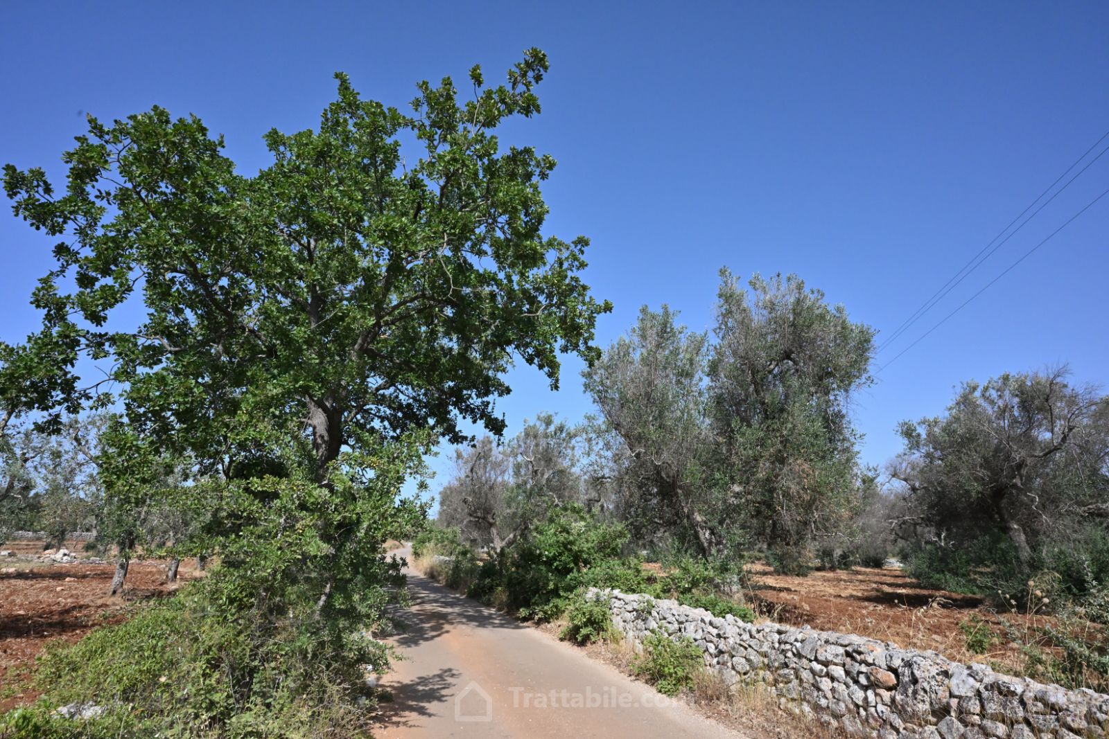Anteprima 5