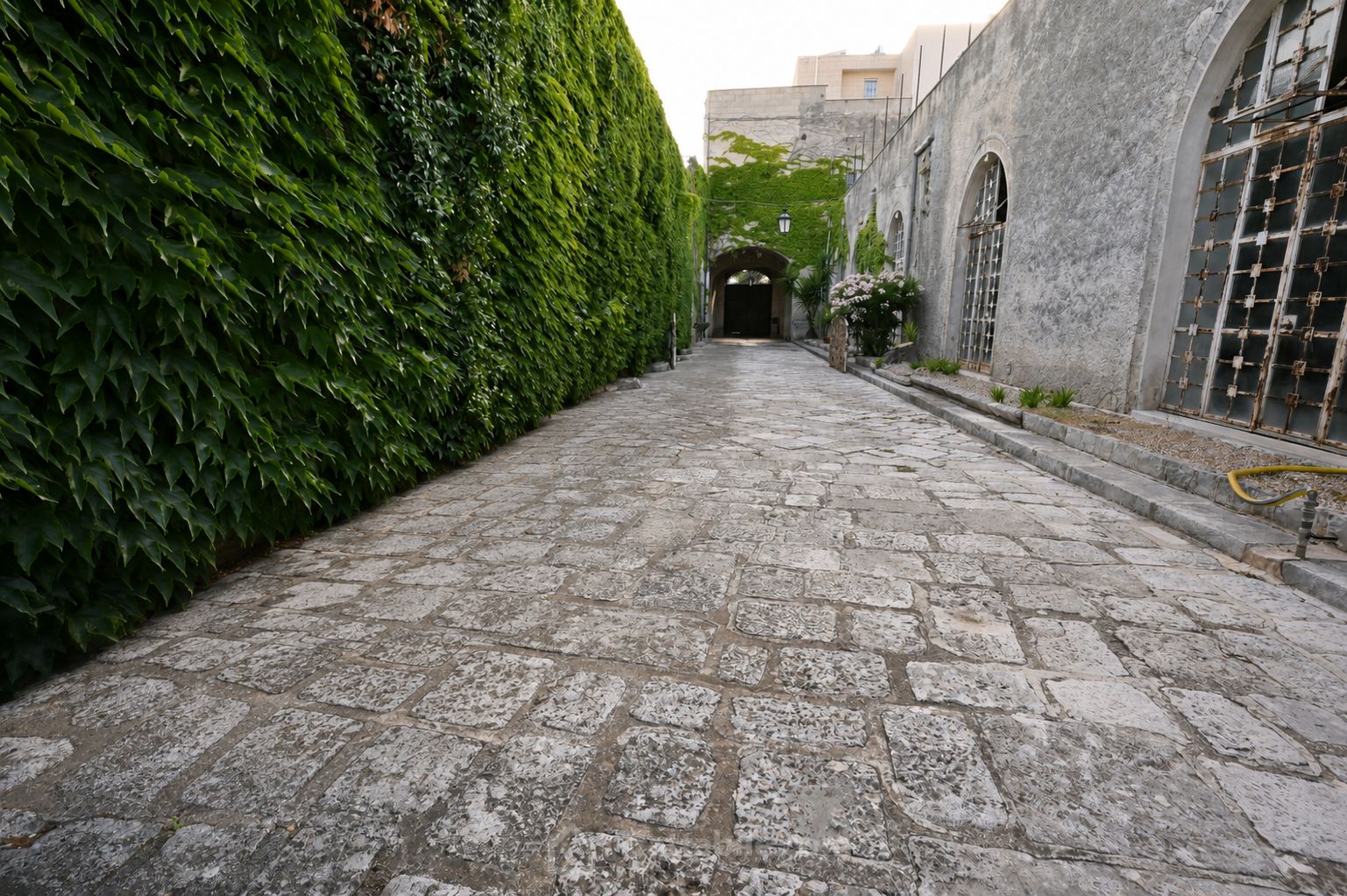 Anteprima 3