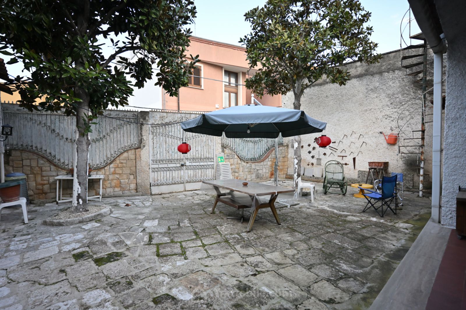 Anteprima 21