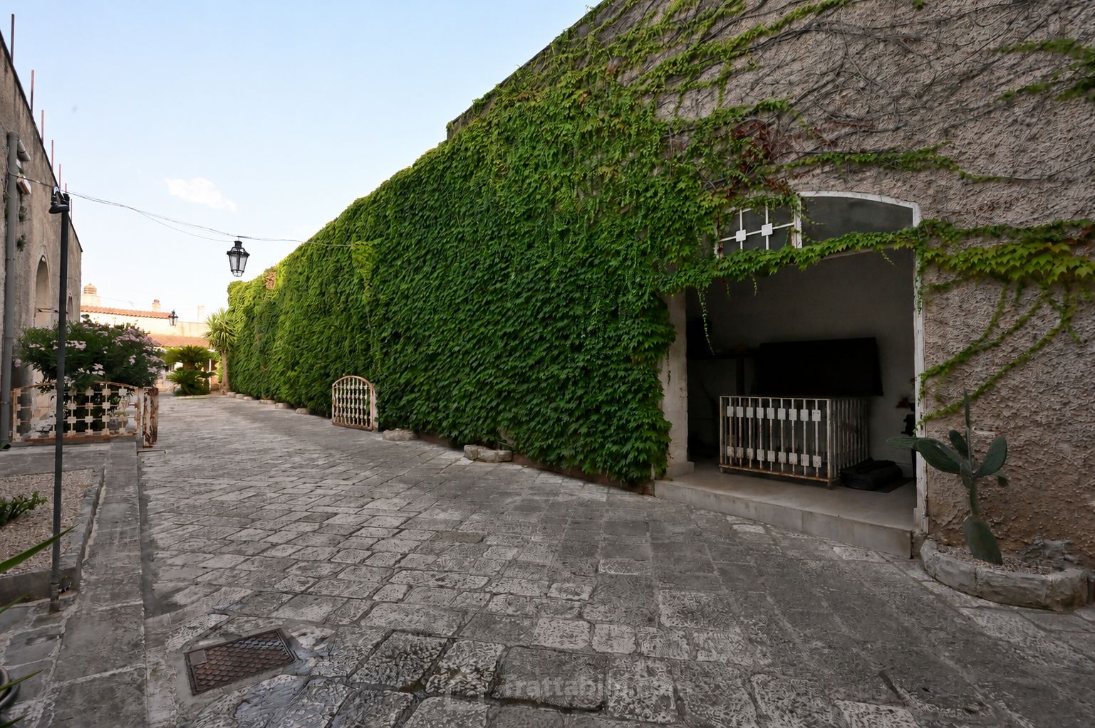 Anteprima 22