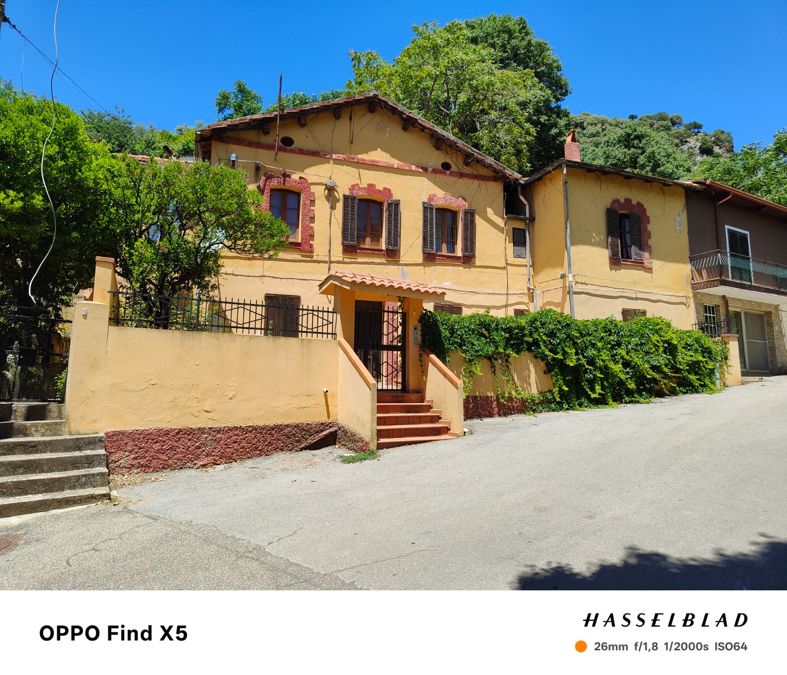 Anteprima 7
