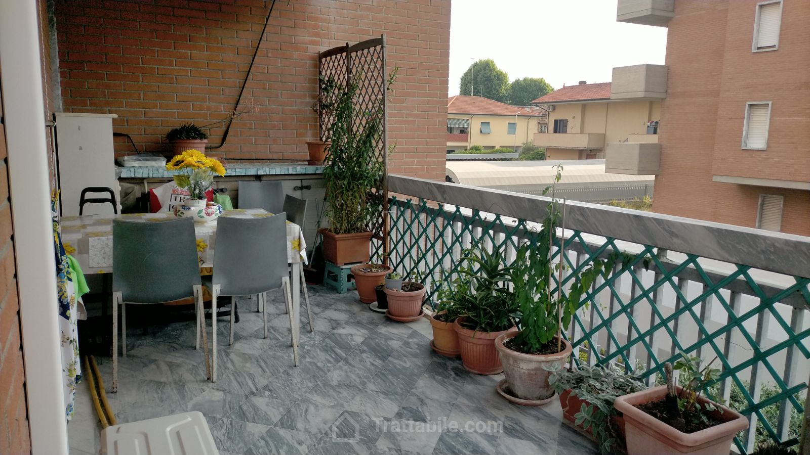 Anteprima 3