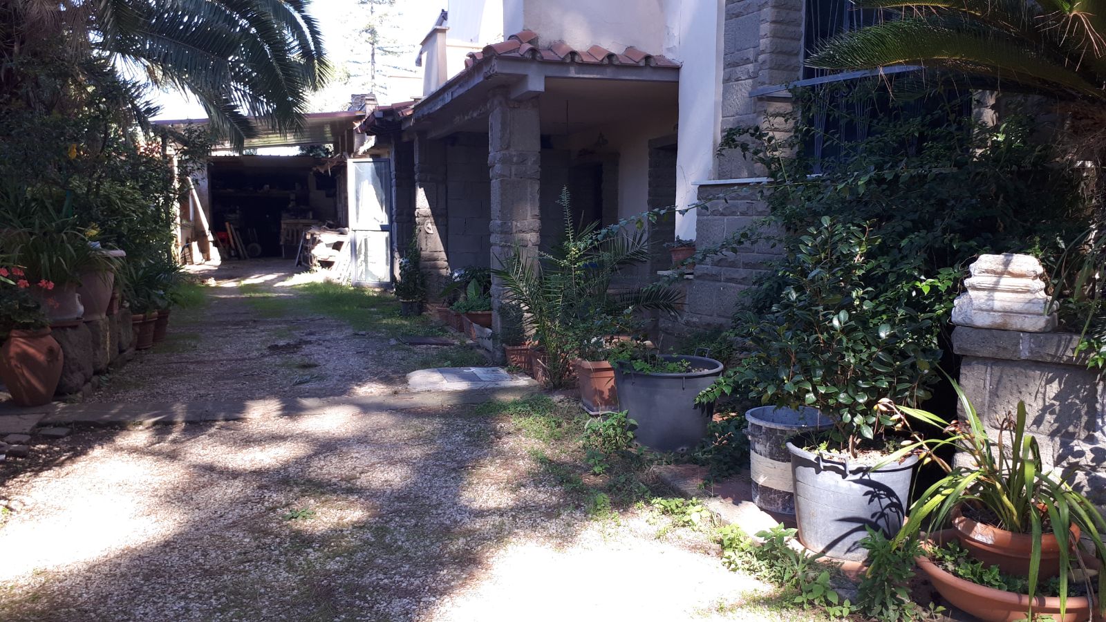 Anteprima 4
