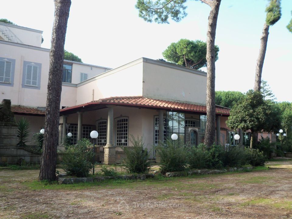 Anteprima 6