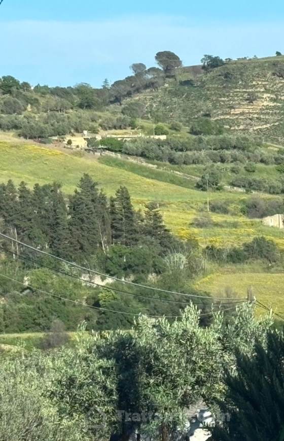 Terreno vendesi